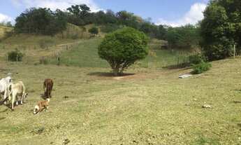 Imagem: Área 8.000m² para venda - Brigadeiro Tobias