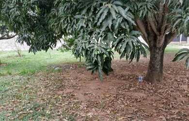 Imagem 5: Lote em Condomínio Fechado para Venda em Brasília, Setor Habitacional Tororó (Jardim Botân