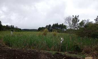 Imagem 6: Área terra de 4 hectares plano a 20 km de Gramado