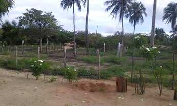 Imagem 1: Vendo otimo terreno na Lagoa das Almecegas