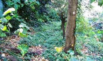 Imagem 5: TERRENO - REAL PARQUE - SP