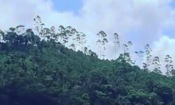 Imagem 3: Sítio em minas gerais