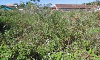 Imagem 5: Super Oportunidade!!! Terreno 393m² em Condomínio