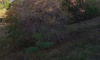 Imagem 2: Lote/Terreno para venda com 1000 metros quadrados em Condados da Lagoa - Lagoa Santa - MG