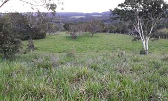 Imagem: Fazenda, a 59 km de Palmas, 6.8 Alqueires