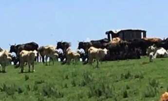 Imagem 5: AR 2741) Área Rural - Interior da cidade de Caçapava