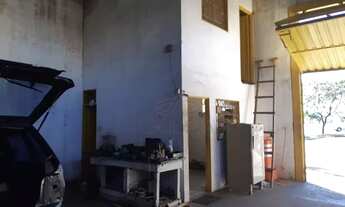 Imagem 5: Salão comercial para locação, Jardim Suzana, São José do Rio Preto