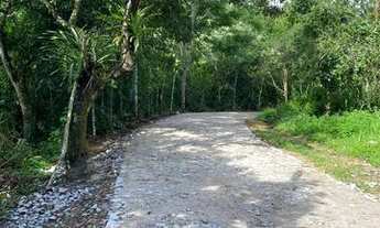 Imagem 6: Lotes Na Serra A 2Km Do Centro Do Pacoti E 07 De Guaramiranga Vem Para Esse Paraiso. n°:So