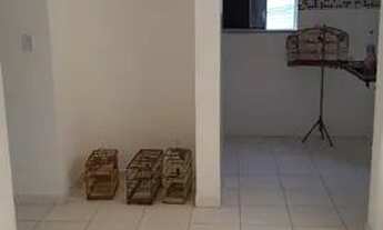 Imagem 6: Ap madre de Deus