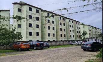 Imagem: CACIQUE CUNHAMBEBI - Oportunidade Única