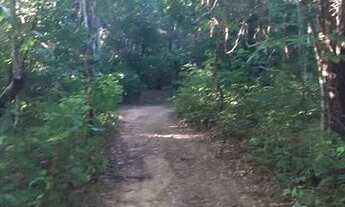 Imagem 6: Chacara lazer Casa em condomínio com 3 dormitórios