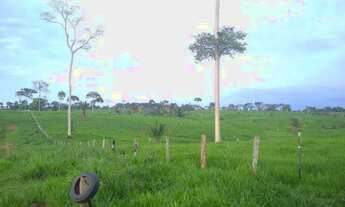 Imagem 7: Vendo fazenda Fazenda / sítio com venda por R$2.700.000