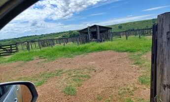 Imagem 7: Fazenda a venda em Canarana - MT