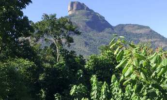 Imagem 2: Reserva do Itanhangá Casa Primorosa, Muito Charmosa Pronta para Morar