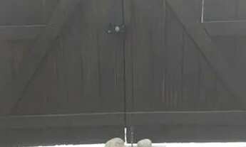 Imagem 5: Casa Triplex, 4quartos,(suite), Terraço, 3Garagens,Piscina - Maria Graça