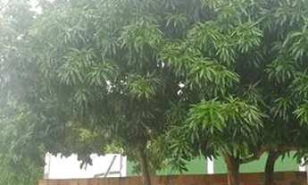 Imagem 7: Casa na linha verde , troco