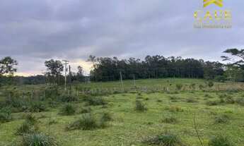 Imagem 3: Sítio de 8000me sem benfeitorias