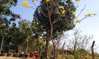 Imagem 2: CHACARA RESIDENCIAL em LIMEIRA - SP, PIRES