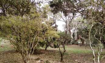 Imagem 4: Oportunidade terreno 5.000mts