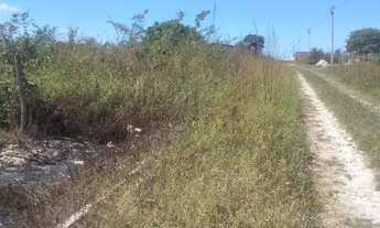 Imagem 3: Repasso lote em pacajus