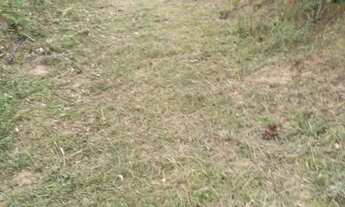 Imagem 7: Vende se ou trocar por casa em Manaus