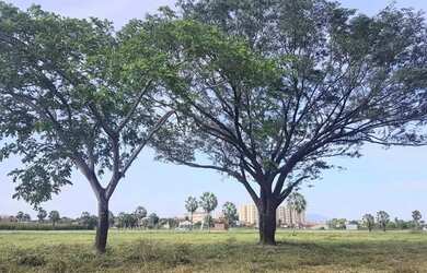 Imagem 3: Loteamento Nature Residence No Tabapua Condominio Fechado Excelente Localizacao n°: Seja