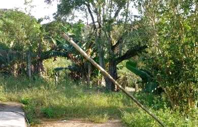 Imagem 7: Chácara em Piedade