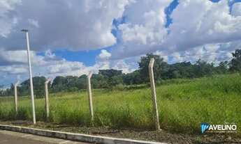 Imagem 3: Area Cônsul Assaf Trad