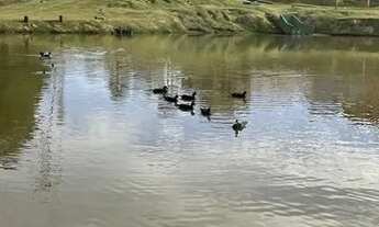 Imagem 6: Terreno condomínio SunLake