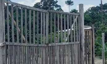 Imagem 4: Sitio muitas fruteira 100×600