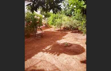 Imagem 3: Vendo rancho em Mira Estrela 251 m²