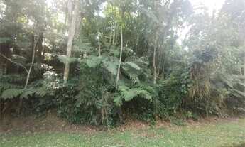 Imagem 5: Terreno no Alpes da Cantareira