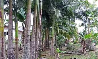 Imagem 6: Chácara em Garuva SC