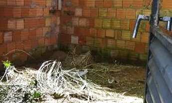 Imagem 6: Lote no capão seco são Sebastião