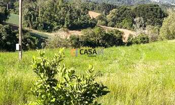 Imagem 2: CAMPO LARGO - Chácara - VILA DAVID ANTÔNIO