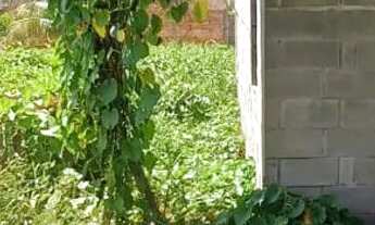 Imagem 5: Terreno de 20x50 em Santa Etelvina