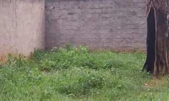 Imagem: Vendo terreno em Campo grande