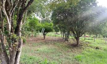 Imagem 3: Sítio - Área Rural de Mogi Guaçu - Mogi Guaçu