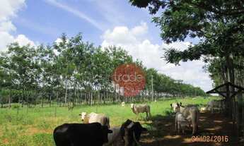 Imagem 4: Fazenda com 1 dormitório à venda, 8820000 m² por R$ 22.000.000,00 - Centro - Buritizeiro/M