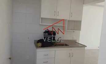 Imagem 3: Apartamento - / Residencial / Catete