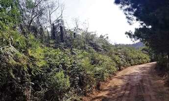 Imagem 3: Área Rural 5 Alqueires - 3 Barras de Cima - Bateias!