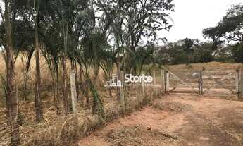 Imagem 5: Excelente sítio à venda, 13.560m² por R$ 1.500.000 - Zona Rural - Uberlândia/Prata-MG