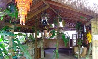 Imagem 7: Venda ou incorporação área comercial de 4.947 m2 na rodovia SP 55 ,São Sebastião