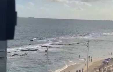 Imagem 12: Sala Comercial Frente Mar - Barra Center, Salvador/BA