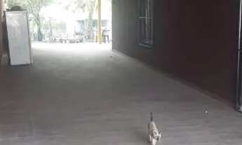 Imagem 5: CASA A VENDA Casa com 3 dormitórios