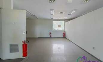 Imagem 5: LOJA - ALTO DE PINHEIROS - SP