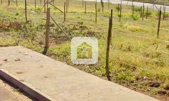 Imagem 3: Terrreno para venda no bairro Jardim Sul