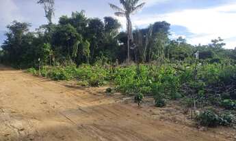 Imagem 5: Chácara 20×50 1000m