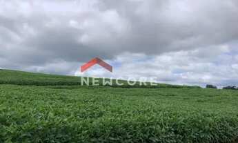 Imagem 7: Sítio em Praça da Bandeira - Área Rural de Itapetininga - Itapetininga/SP