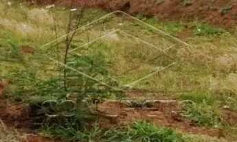 Imagem: Terreno Padrão em Jaú
